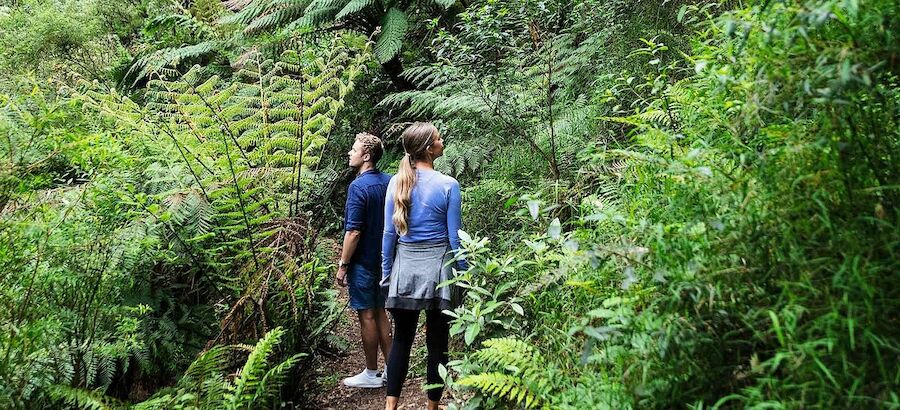 Parque Nacional de Great Otway Australia