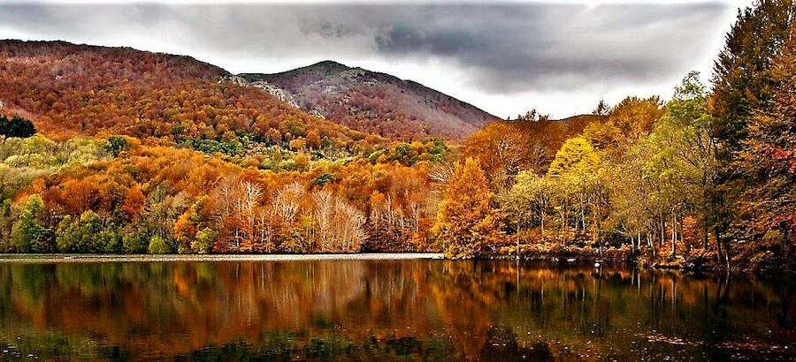 Los mejores bosques de Espaa recuperan su esencia con la llegada del otoo