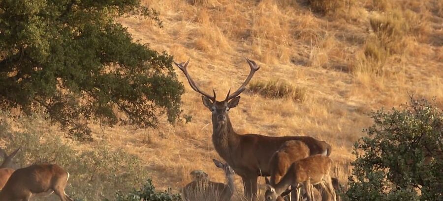 El Parque Natural de Sierra de Andjar ejemplo de turismo sostenible 