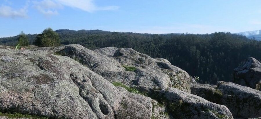 Recogida de firmas para que el Monte do Gato sea declarado Parque Natural 