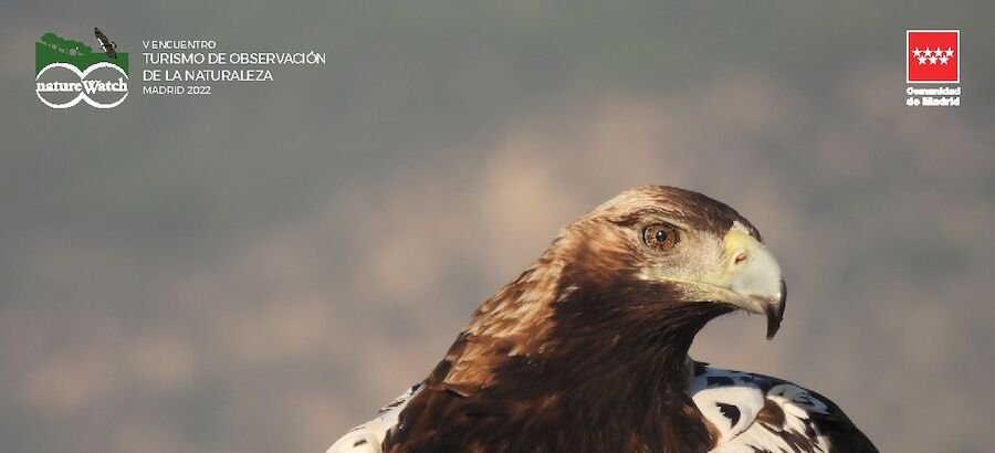 La Sierra Oeste de Madrid nueva sede del encuentro natureWatch  