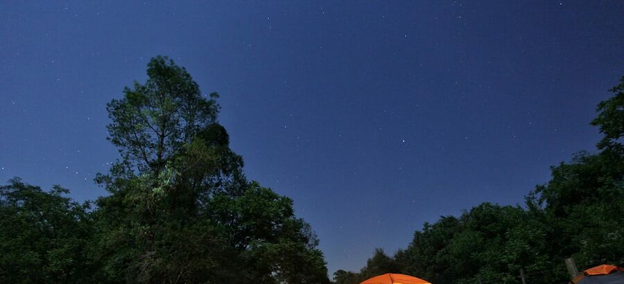 Noches mgicas en los Parques Nacionales de Argentina 