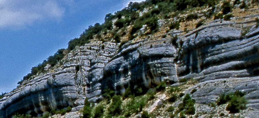 El Parque Natural Sabinares del ArlanzaLa Yecla busca el sello de Turismo Sostenible 