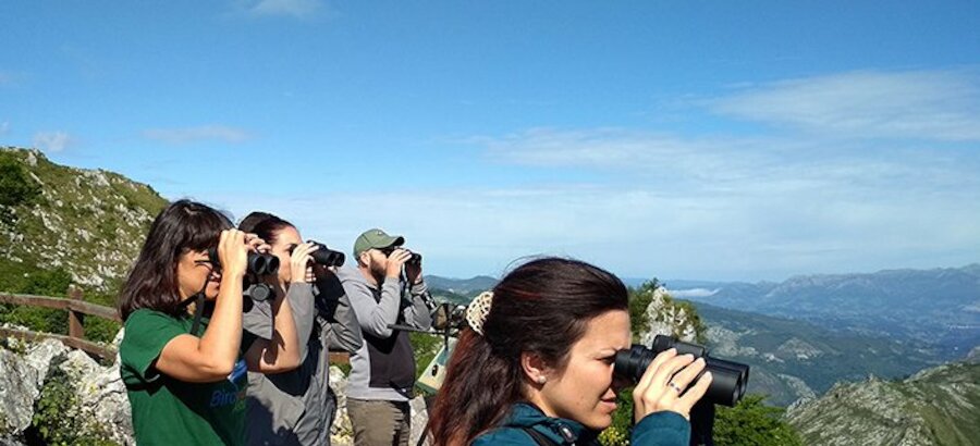 Los mejores lugares de Asturias para la observacin de aves 