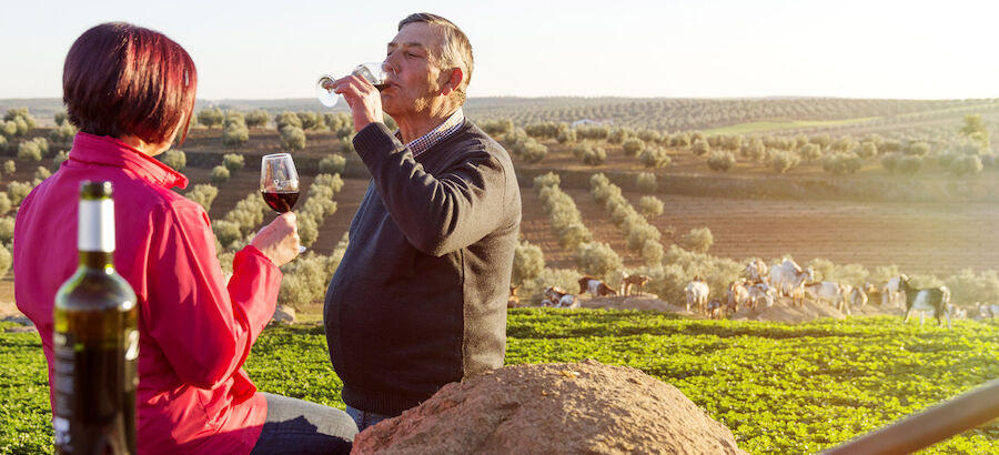 Planeando el puente de diciembre Descubre la Ruta del vino y cava de Ribera del Guadiana