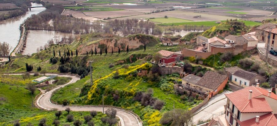 Zamora cincuenta rboles y cuatro proyectos para el turismo rural 