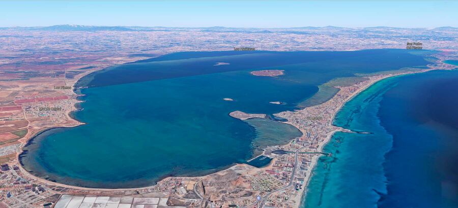 Miles de personas abrazan al Mar Menor por la fauna muerta 