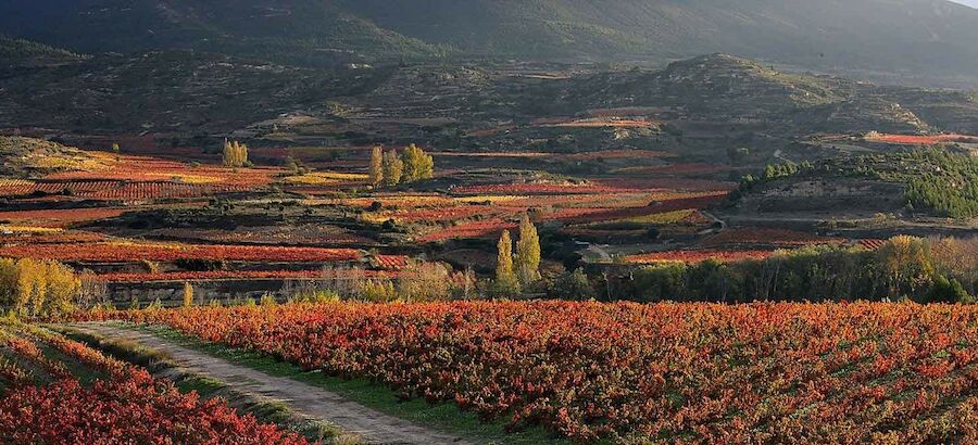 Vias en La Rioja 