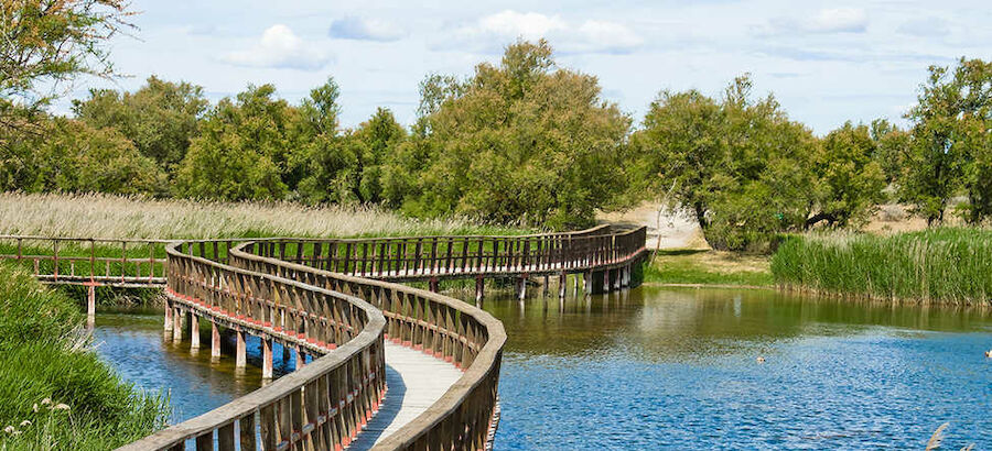 PARQUE NACIONAL DE LAS TABLAS DE DAIMIEL