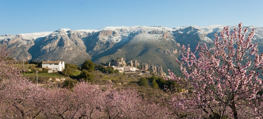 Valle del Pop Alicante 