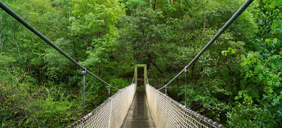 El Parque Natural Fragas do Eume en Galicia a un paso de su aprobacin definitiva  