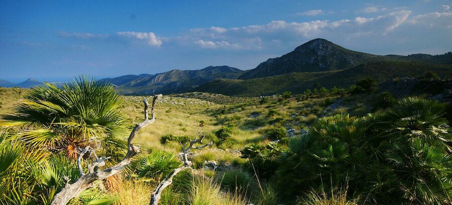 El parque natural del Llevant se convertir en el ms amplio de las Islas Baleares 