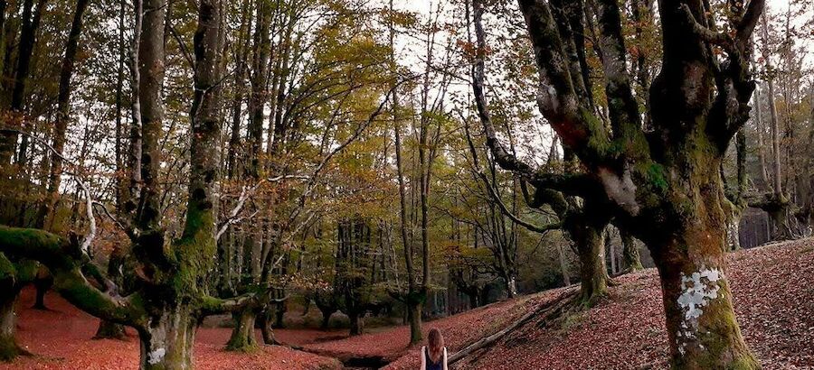 Pasear por la naturaleza reduce los niveles de cortisol la hormona del estrs 