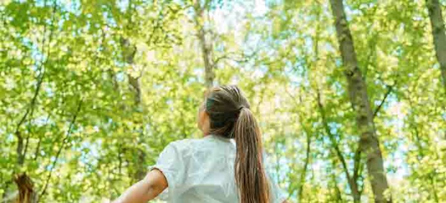 Si necesitas un respiro Castilla y Len te espera con Bosques para la salud 