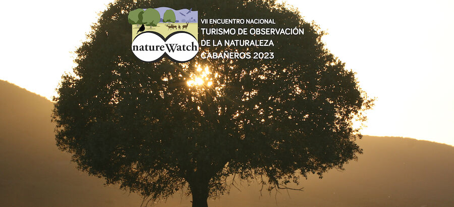 El bosque mediterrneo protagonista del prximo NatureWatch 
