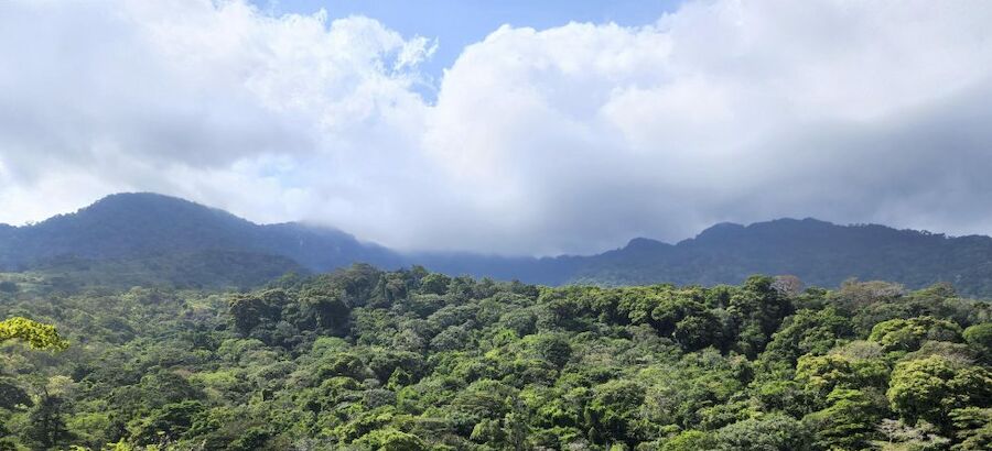 Chucant la mayor reserva de biodiversidad en Panam  