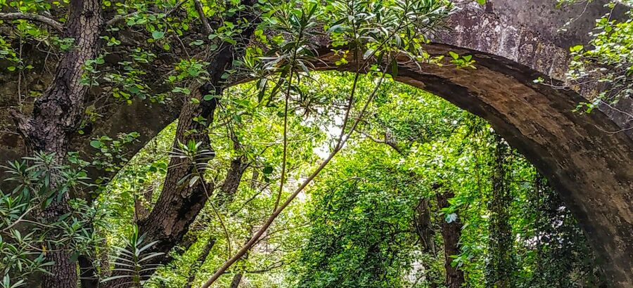 El parque natural del Estrecho cumple 20 aos  