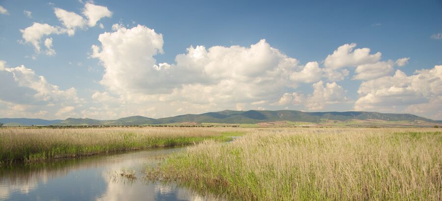 A un paso de la marca Reserva de la Biosfera de la Mancha Hmeda