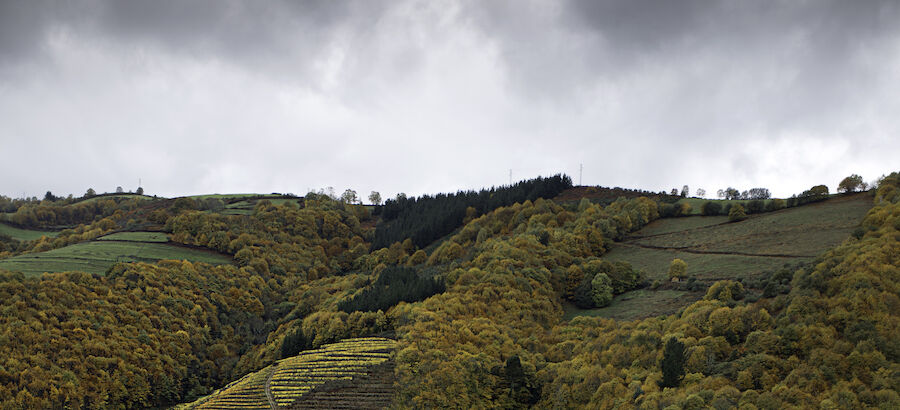 Viedo Asturias 