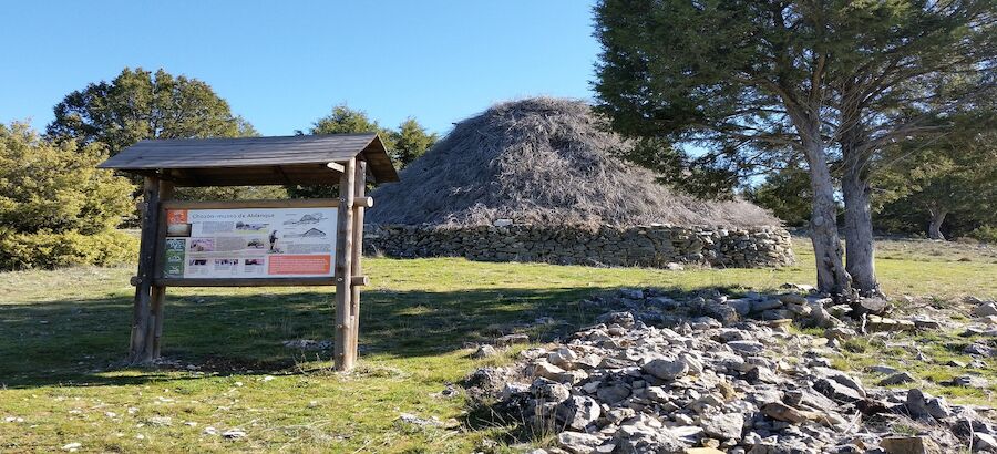 Asociacin Micorriza recuperar la naturaleza y la cultura del Alto Tajo 