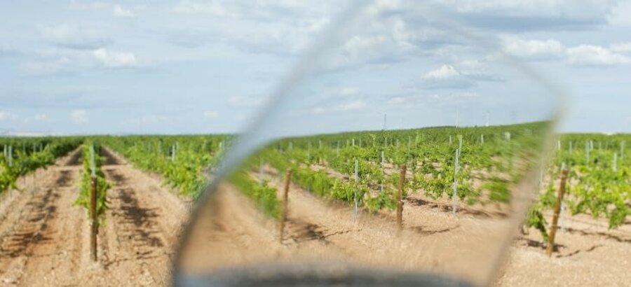 La Ruta del Vino de Rueda enoturismo y ecoturismo familiar 