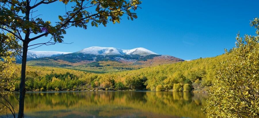 Moncayo en busca de la declaracin de parque natural  