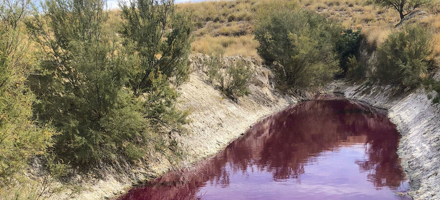 Sabes dnde est la laguna que se tie de rojo de manera natural  
