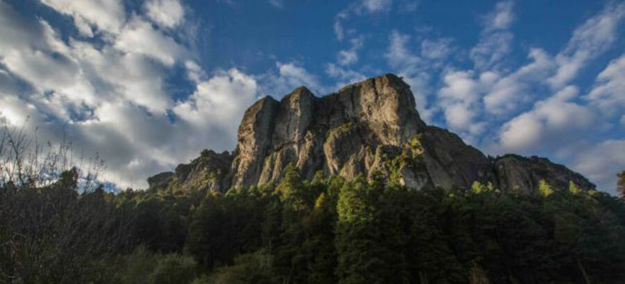 Descubre el ecoturismo del Salto de Tarzn de Mxico 