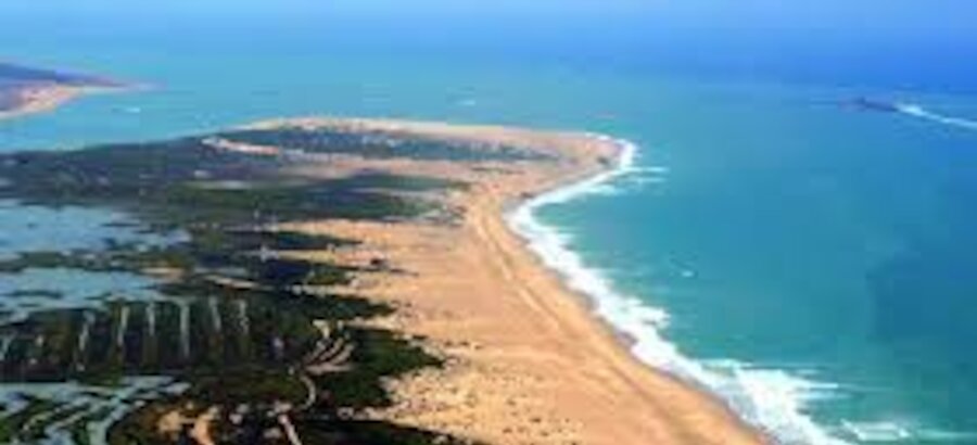 El parque natural Baha de Cdiz promociona su ecoturismo en Chiclana  