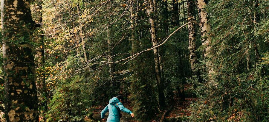 Buscas disfrutar del paisaje otoal Te traemos las mejores rutas senderistas 