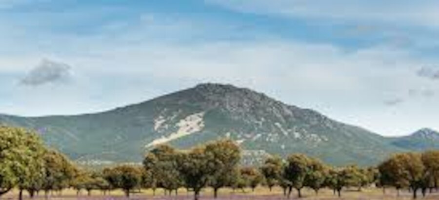 Asesora y dinamizacin para experiencias de ecoturismo en CastillaLa Mancha 