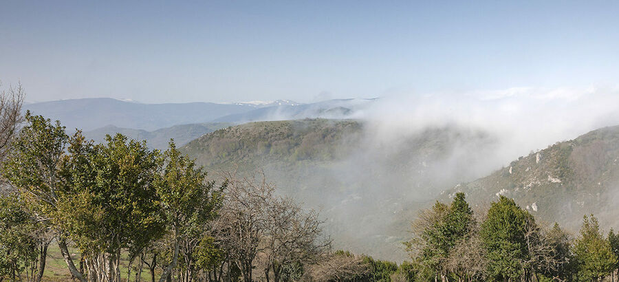 Serradero  la rioja