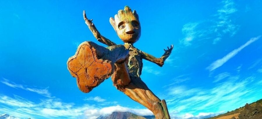 Groot el nuevo guardin de la naturaleza 