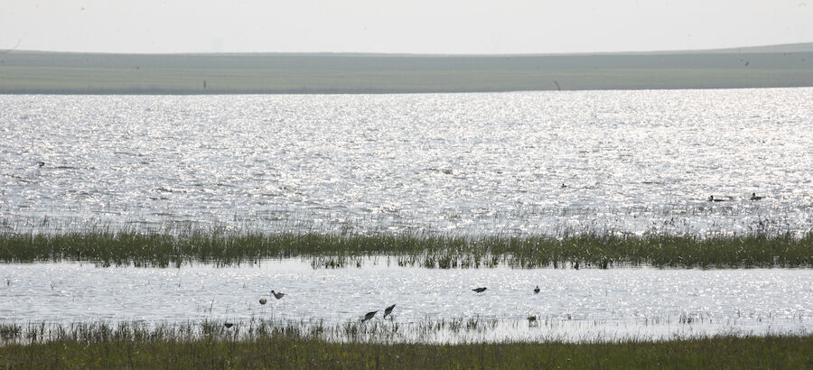 Palencia colabora con Global Nature en la apuesta del ecoturismo  