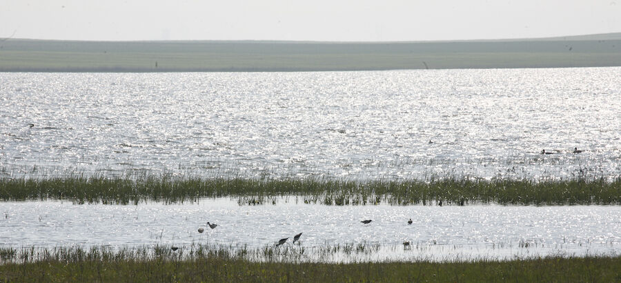 Palencia colabora con Global Nature en la apuesta del ecoturismo  