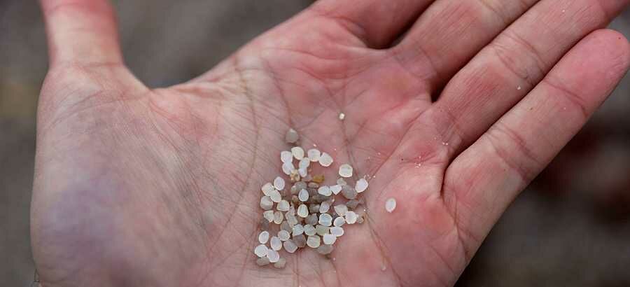 Qu son los pellets de plstico y los riesgos para el medio ambiente 