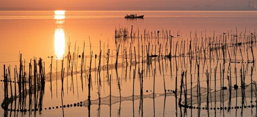 Albufera de Valencia Espaa