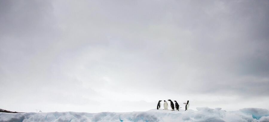 Cientficos canadienses y espaoles crean un observatorio en el ocano Antrtico