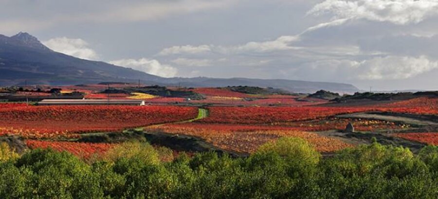 Haro La Rioja 