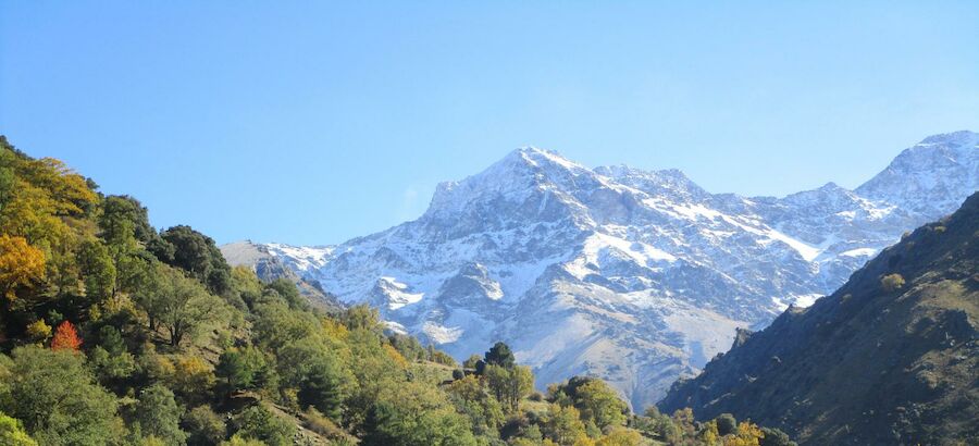 Vereda de la Estrella