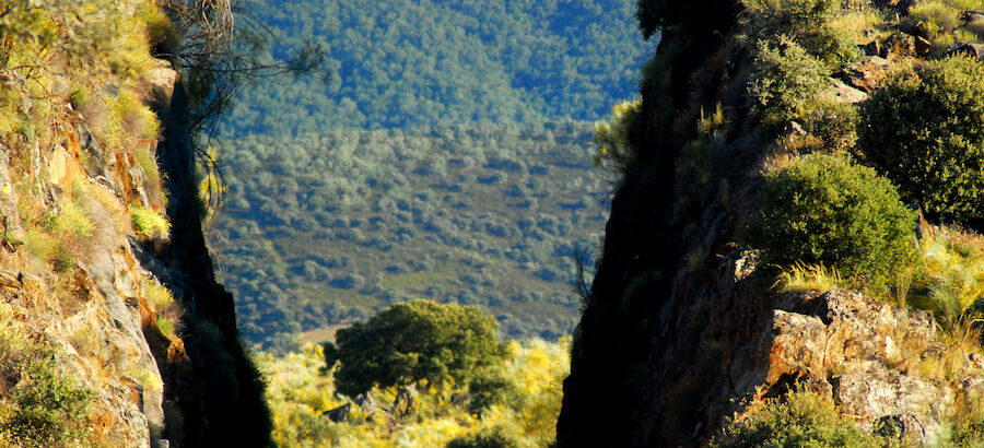 Va Verde del Guadiana
