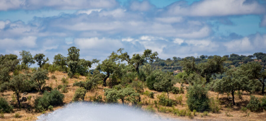Deportes acuticos  extremadura