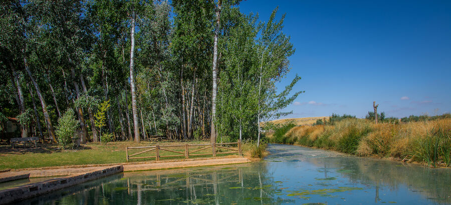 Presa Honda Usagre