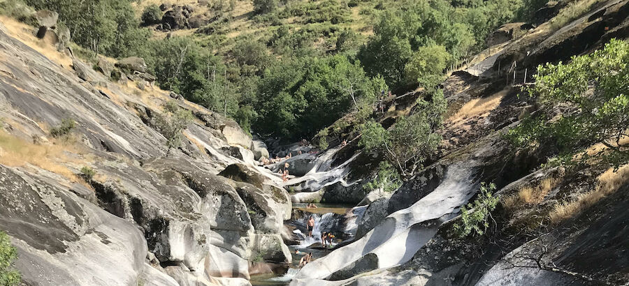 Ecoturismo pilar de la reconstruccin verde tras la pandemia