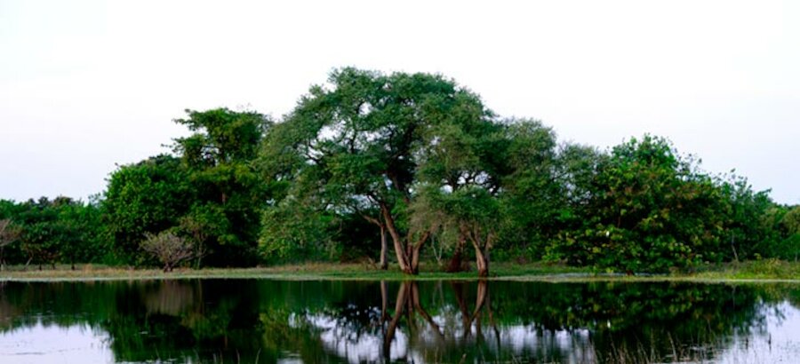 Orango Parque Hotel proyecto de ecoturismo humano en Guinea Bissau