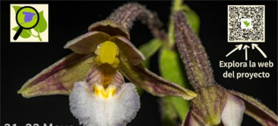 La Sociedad Botnica Espaola impulsa el primer Biomaratn Floral 