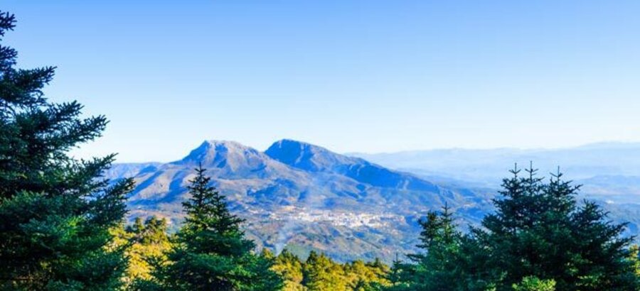 La Sierra de las Nieves prximo Parque Nacional de Andaluca 