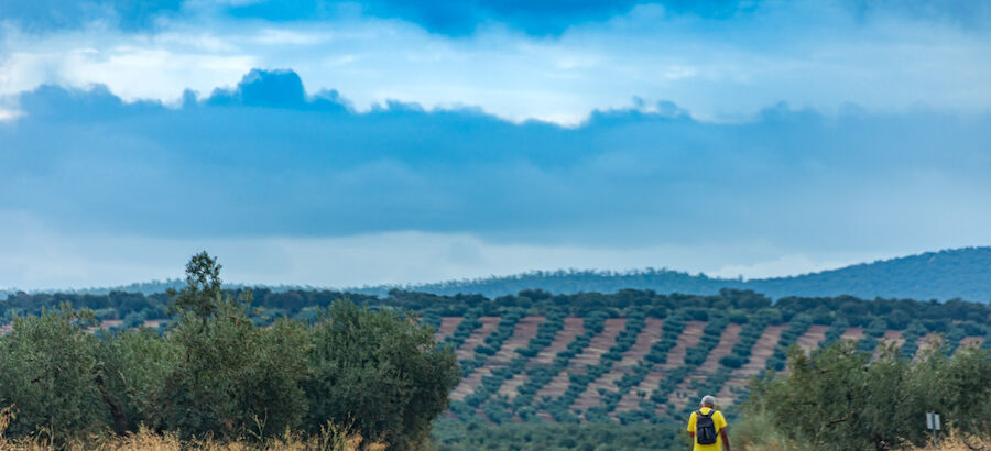 Camino de la Va de la Plata