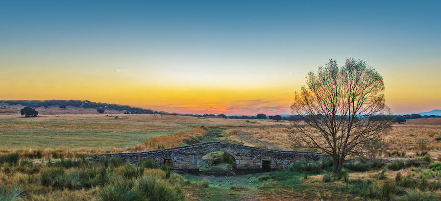 Camino de Santiago en Extremadura de sur a norte por la Va de la Plata 