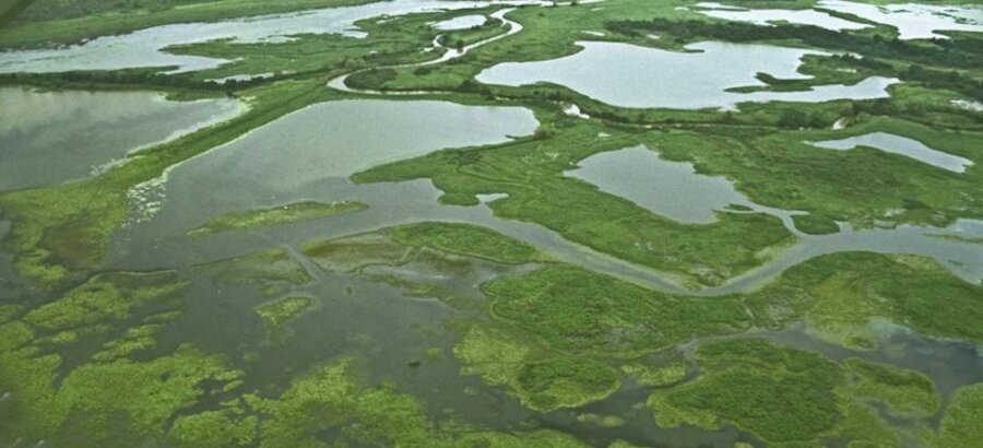 La fauna salvaje del Refugio Nacional Cao Negro en Costa Rica 